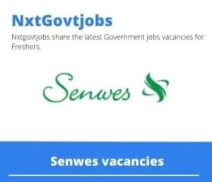Senwes Warehouse Manager Vacancies in Bloemfontein – Deadline 11 May 2023