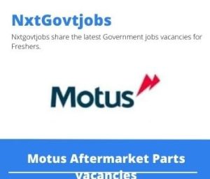 Motus Aftermarket Parts Finance and Insurance Manager Vacancies in Bloemfontein – Deadline 21 Nov 2023